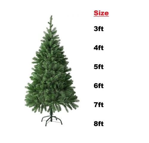 Green colorado spruce - green,